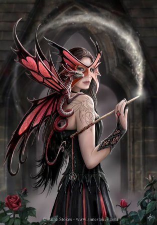       Anne Stokes