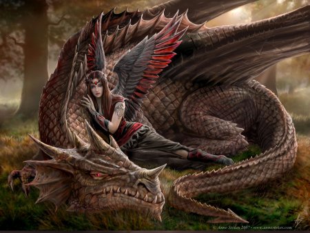       Anne Stokes