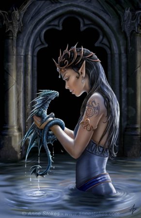       Anne Stokes