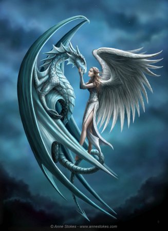       Anne Stokes